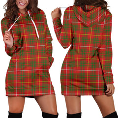 Bruce Modern Tartan Plaid Hoodie Dress