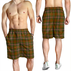 Scott Brown Modern Tartan Plaid Men's Shorts