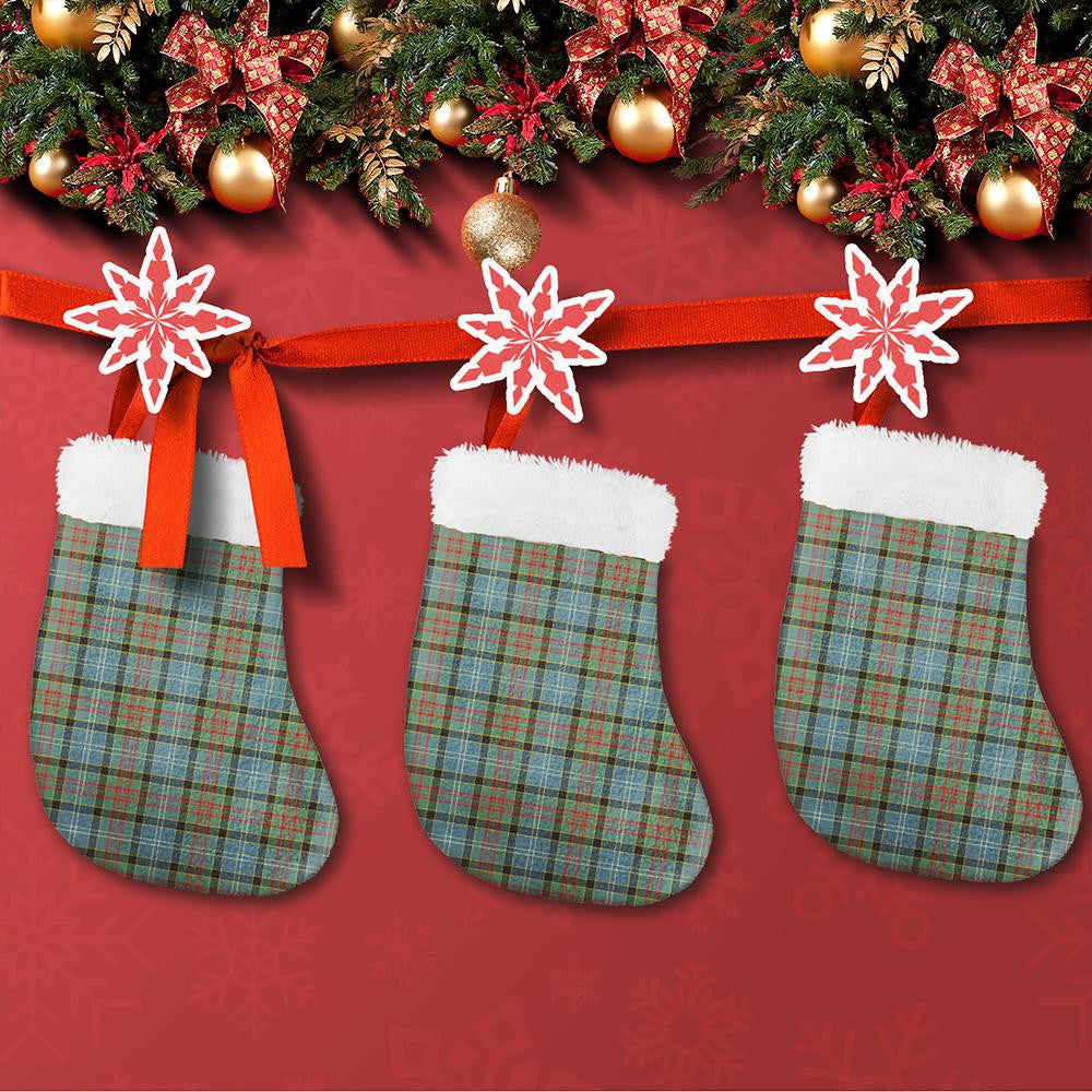 Paisley District Tartan Classic Christmas Sock