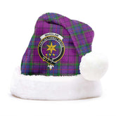 Wardlaw Modern Tartan Crest Christmas Hat