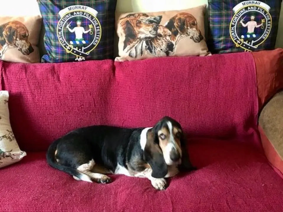 Tartan Pillow Cover (Set of 2)