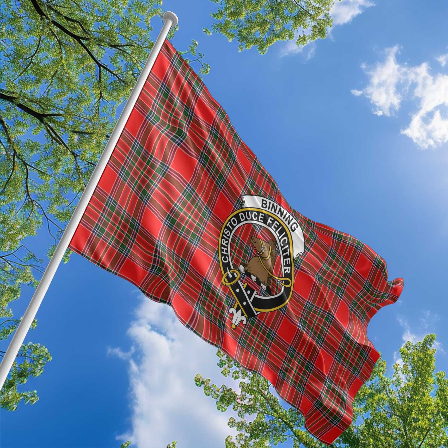 Clan Binning Of Wallifoord Tartan Flag Crest And Plaid Basic Style