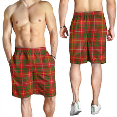 Bruce Modern Tartan Plaid Men's Shorts