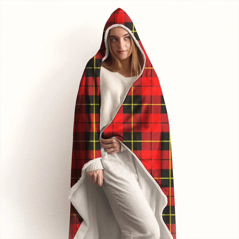 Nicolson Hunting Ancient Tartan Crest Hooded Blanket