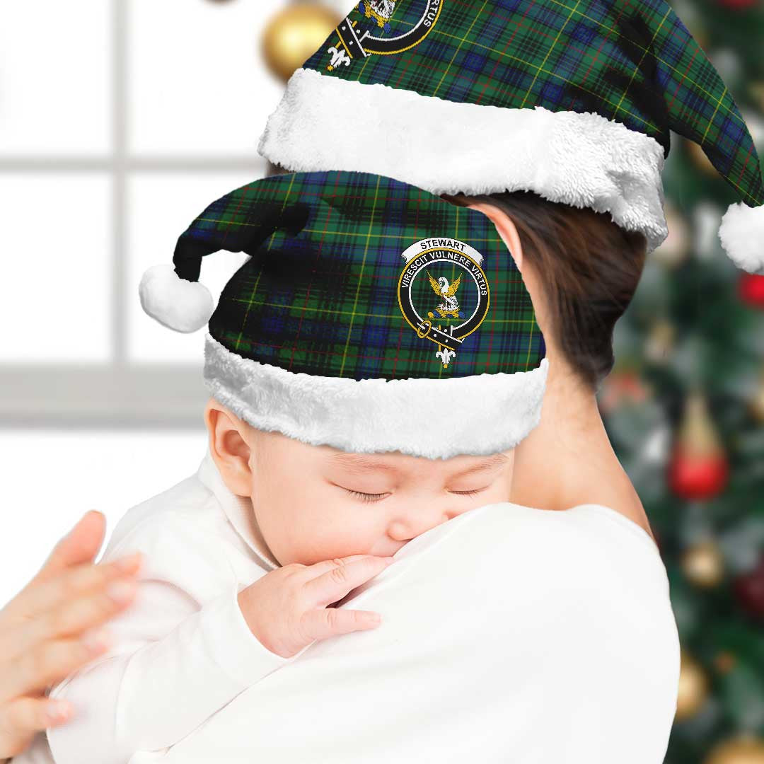 Stewart Hunting Modern Tartan Crest Christmas Hat