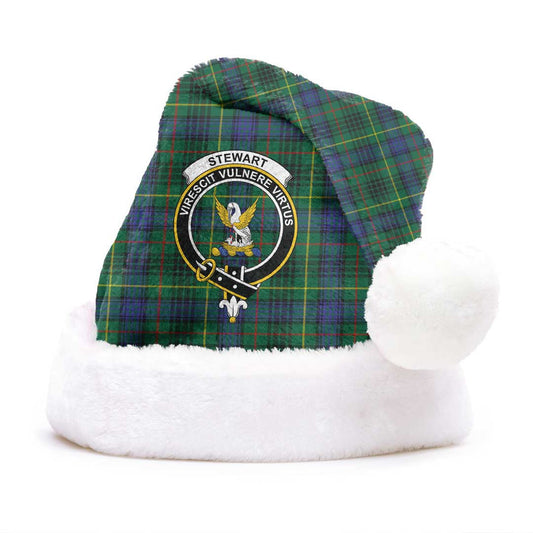 Stewart Hunting Modern Tartan Crest Christmas Hat