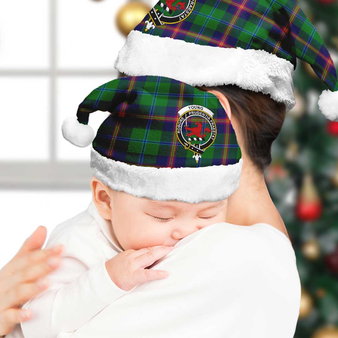 Young Modern Tartan Crest Christmas Hat