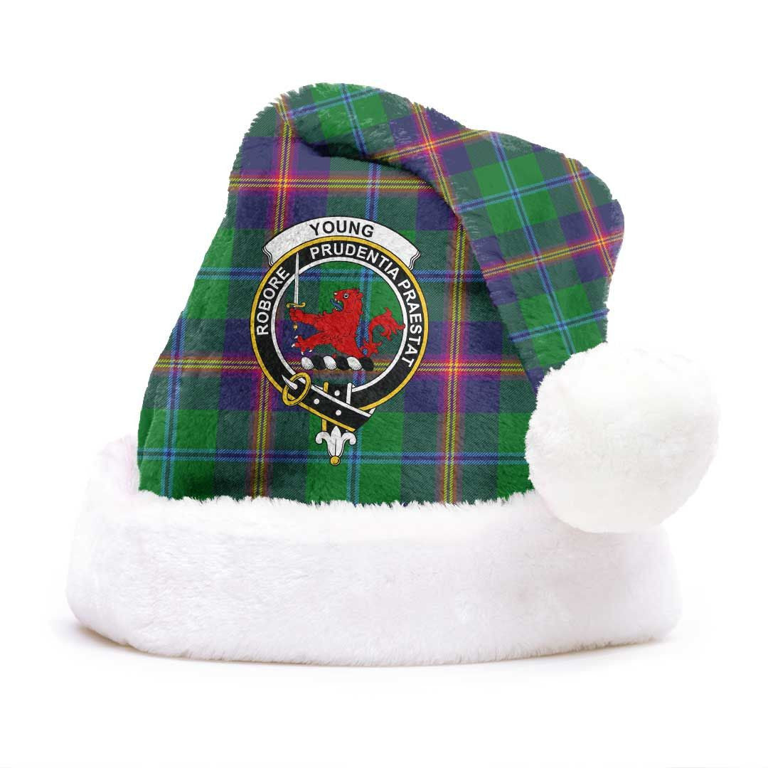 Young Modern Tartan Crest Christmas Hat